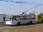 393 obrzek 3