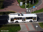 393 obrzek 6