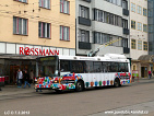 393 obrzek 12